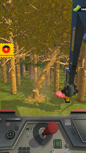 Mega Biçer: Taxta Zavodu